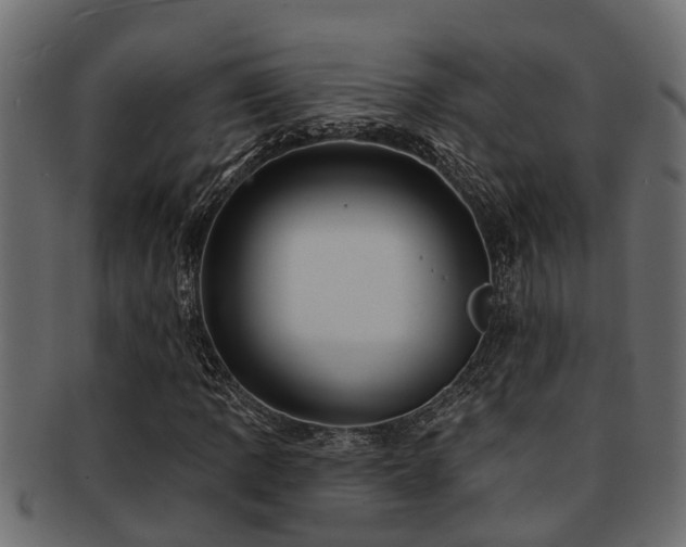 X0000093111109200709261245