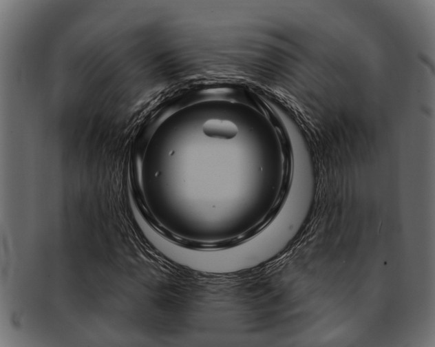 X0000093111110200709261245
