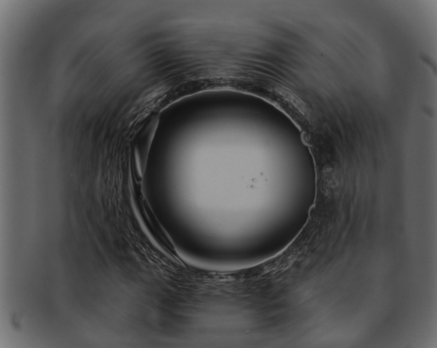 X0000093111111200709261245