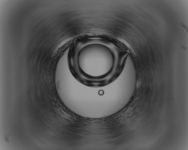 X0000093111112200709261245