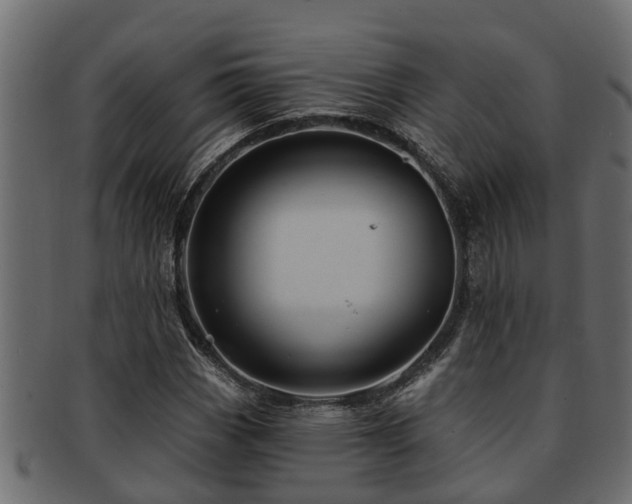 X0000093111113200709261245