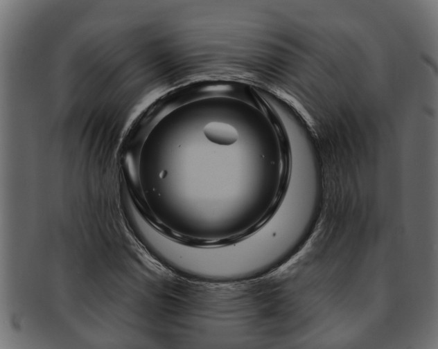 X0000093111114200709261245