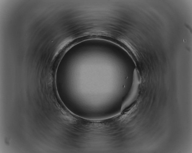 X0000093111115200709261245