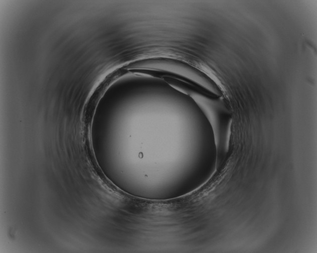 X0000093111116200709261245