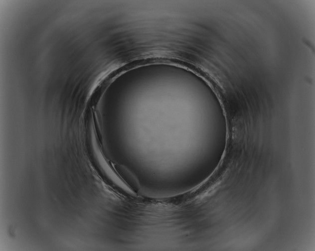 X0000093111117200709261245