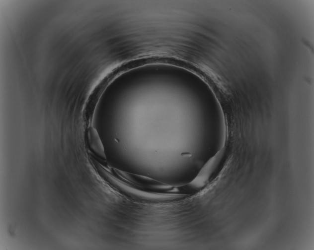 X0000093111118200709261245