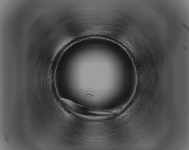 X0000093111119200709261245