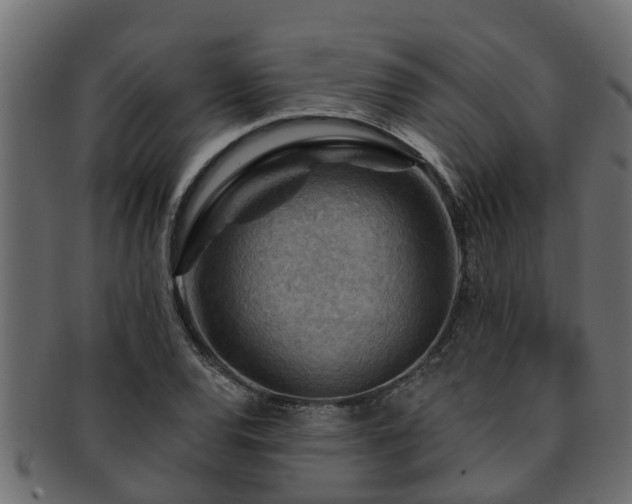 X0000093111120200709261245