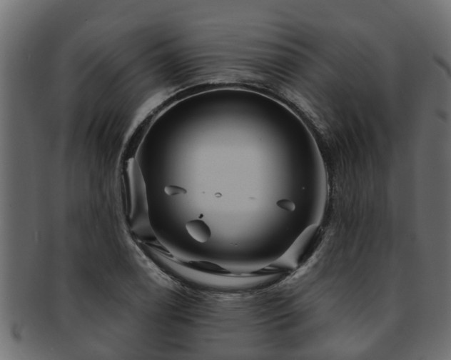 X0000093111122200709261245