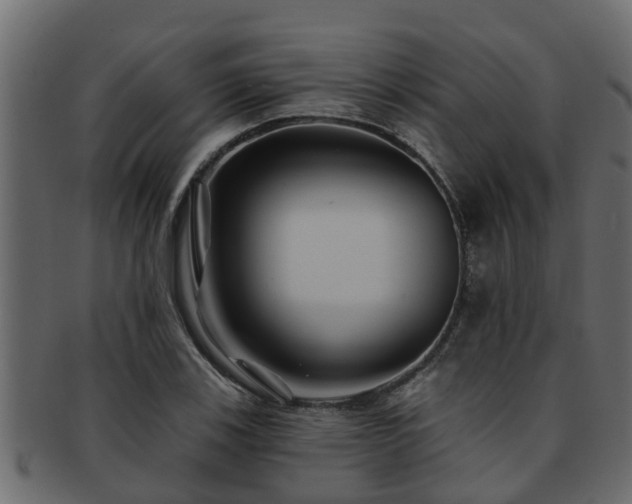 X0000093111123200709261245