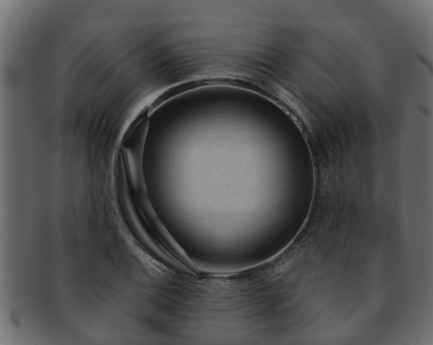 X0000093111124200709261245