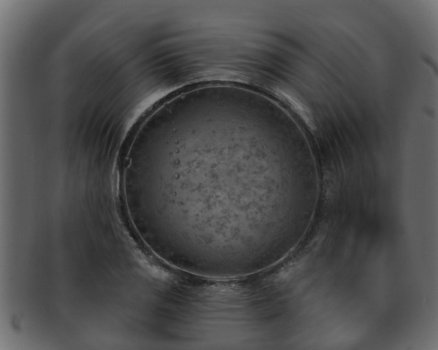 X0000093111125200709261245