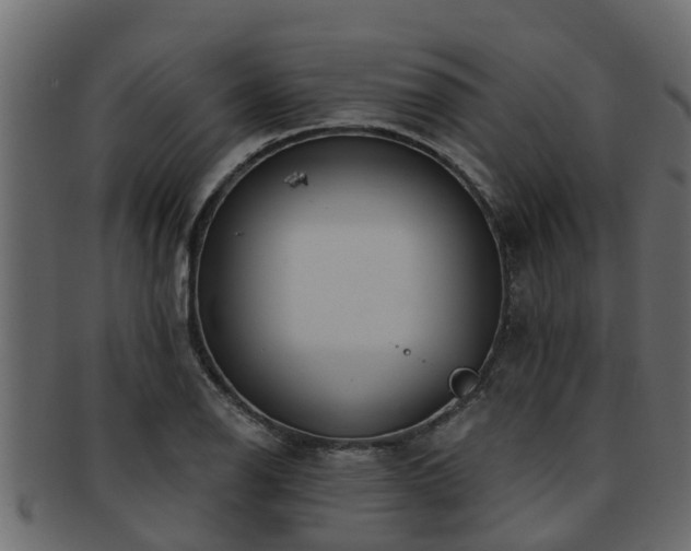 X0000093111126200709261245