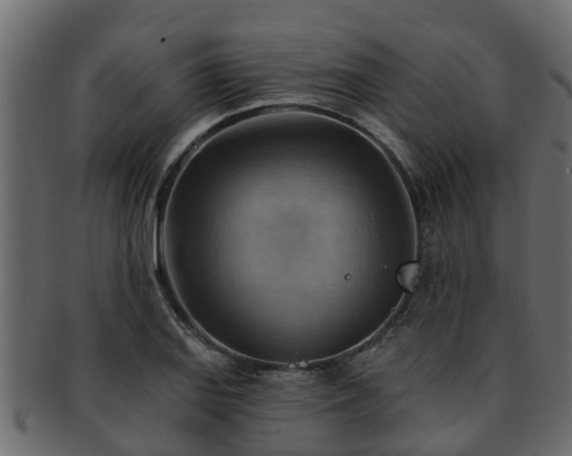 X0000093111127200709261245