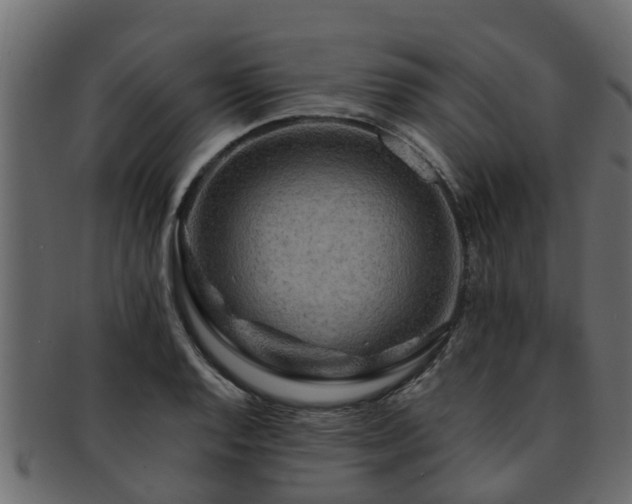 X0000093111128200709261245