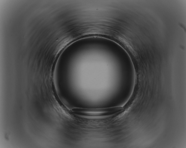 X0000093111129200709261245