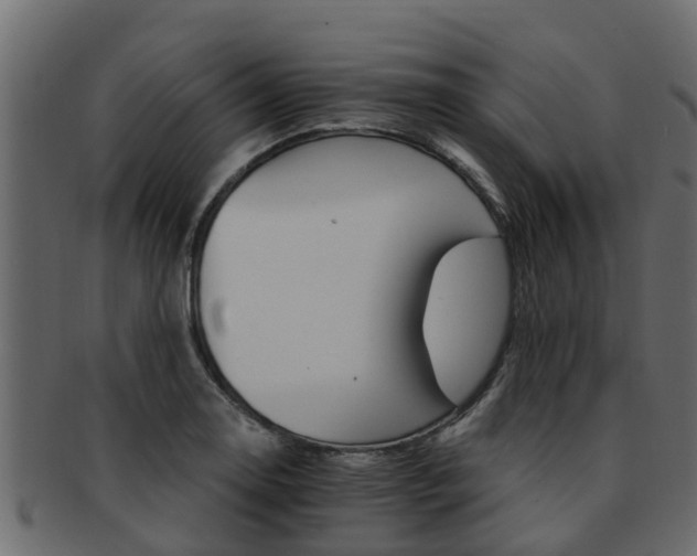 X0000093111130200709261245