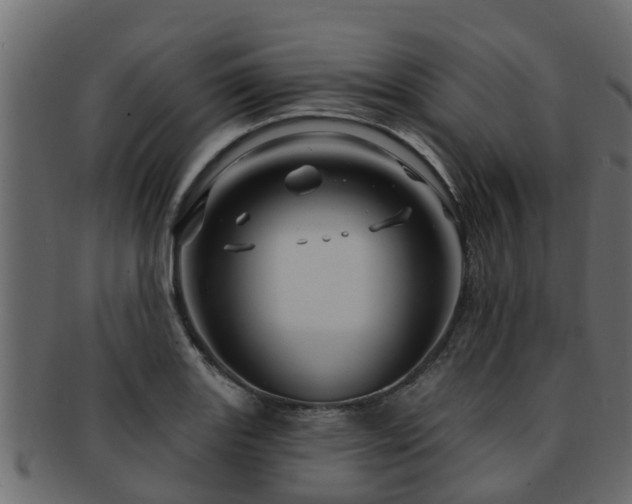 X0000093111131200709261245