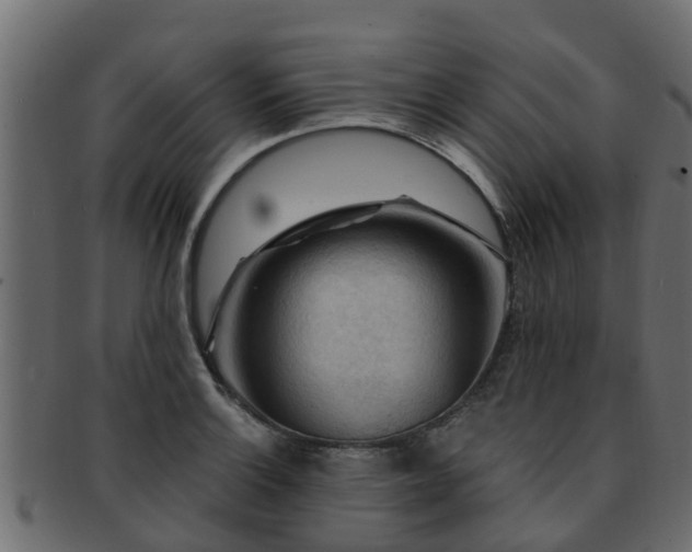 X0000093111132200709261245