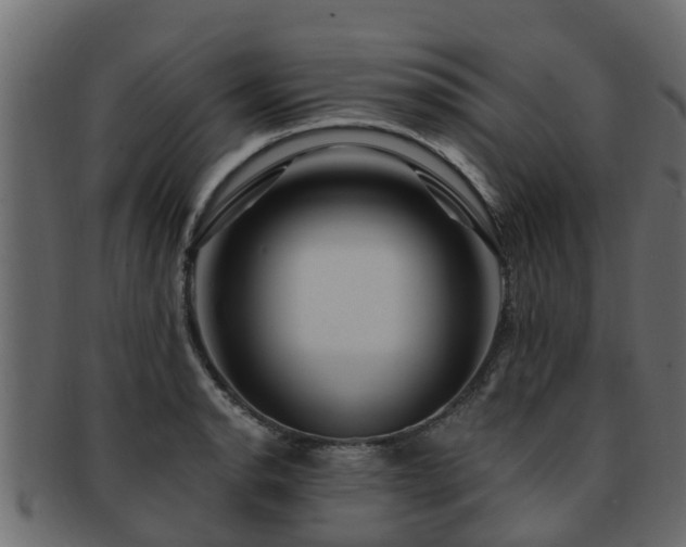 X0000093111134200709261245
