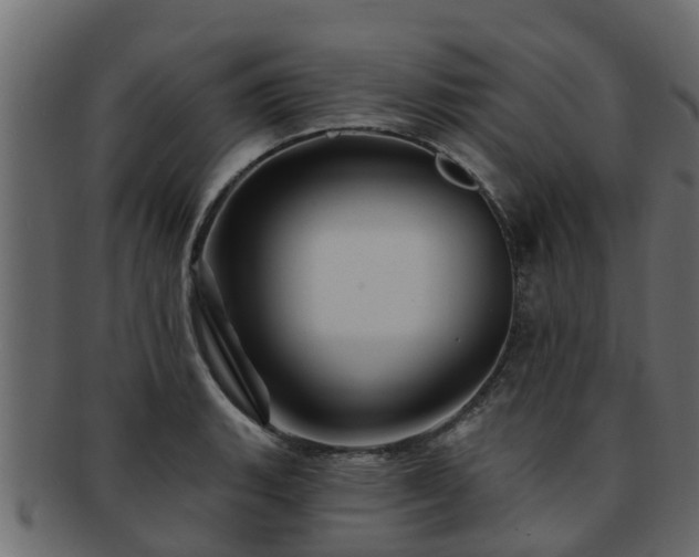 X0000093111135200709261245