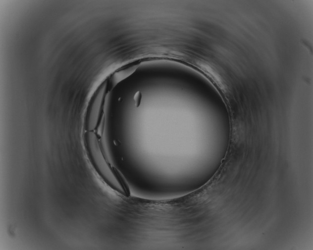 X0000093111136200709261245