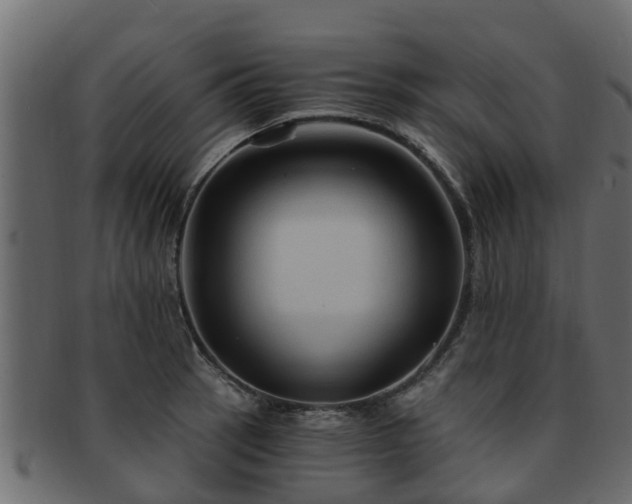 X0000093111137200709261245
