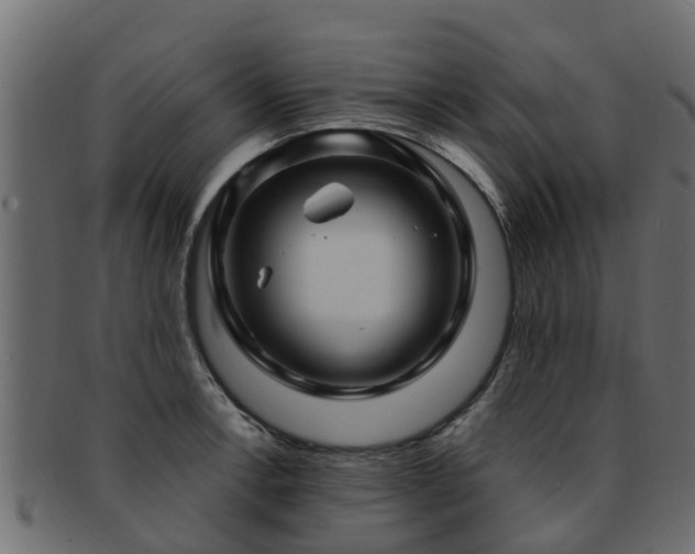 X0000093111138200709261245