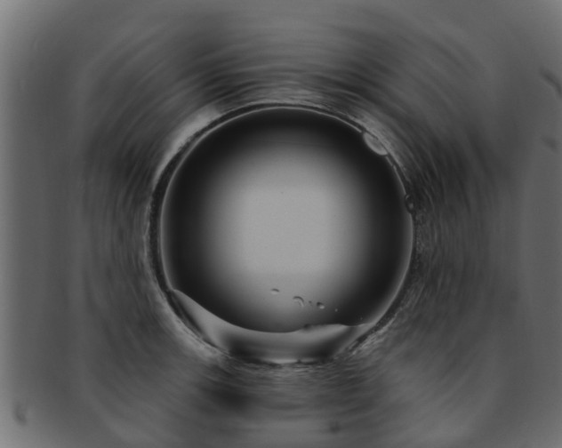 X0000093111139200709261245