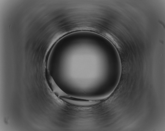 X0000093111140200709261245