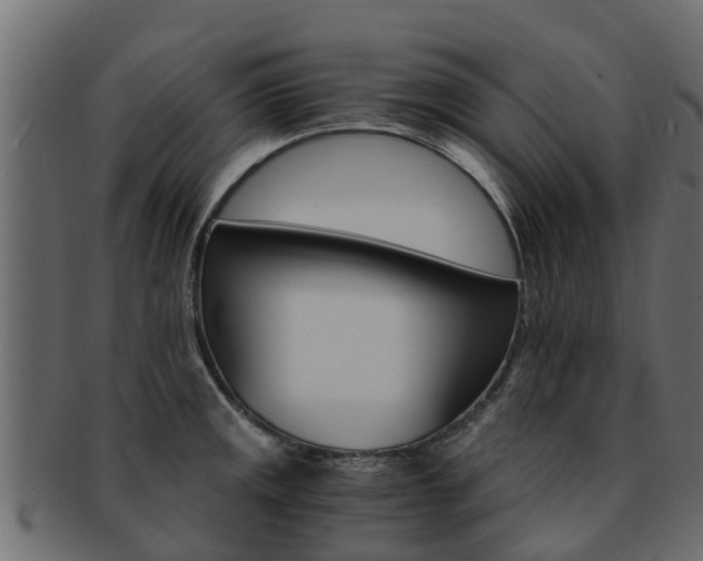 X0000093111141200709261245