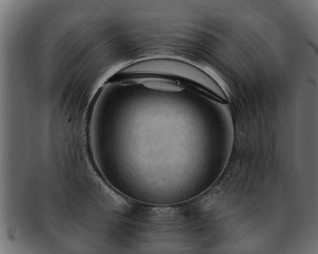 X0000093111142200709261245