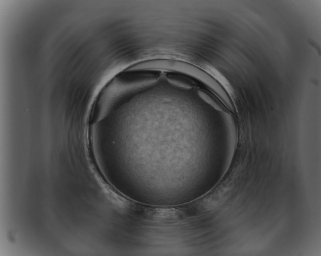 X0000093111144200709261245
