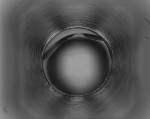 X0000093111145200709261245