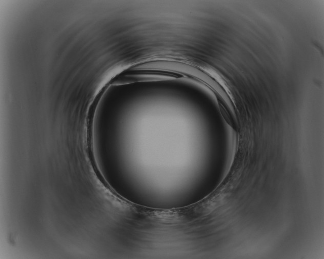 X0000093111147200709261245