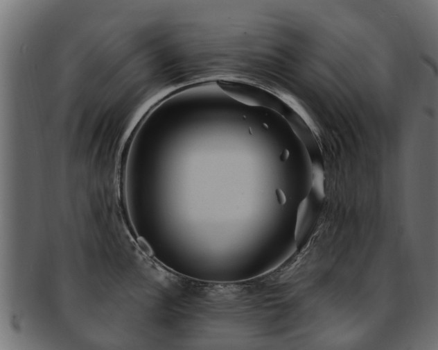 X0000093111148200709261245