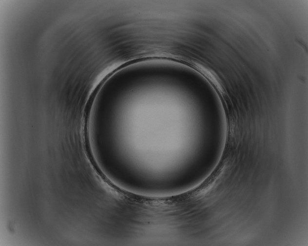 X0000093111149200709261245