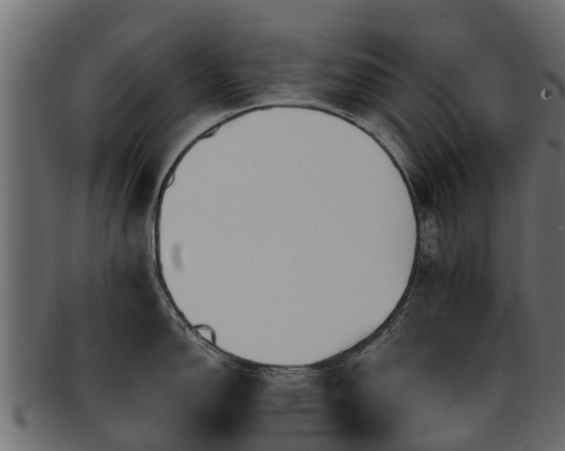 X0000093111150200709261245