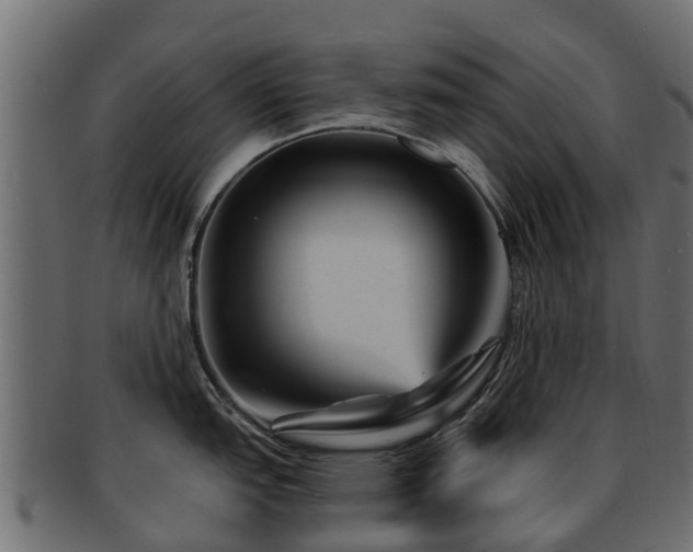 X0000093111151200709261245
