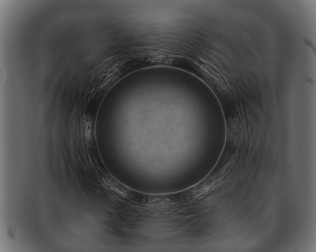 X0000093111154200709261245