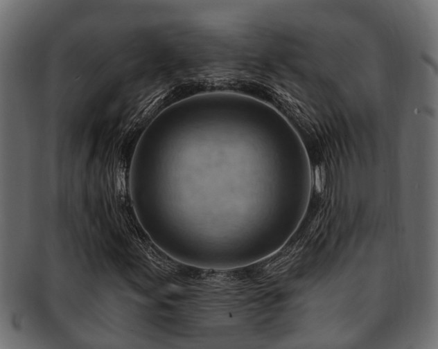 X0000093111155200709261245