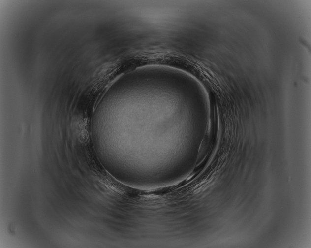 X0000093111156200709261245