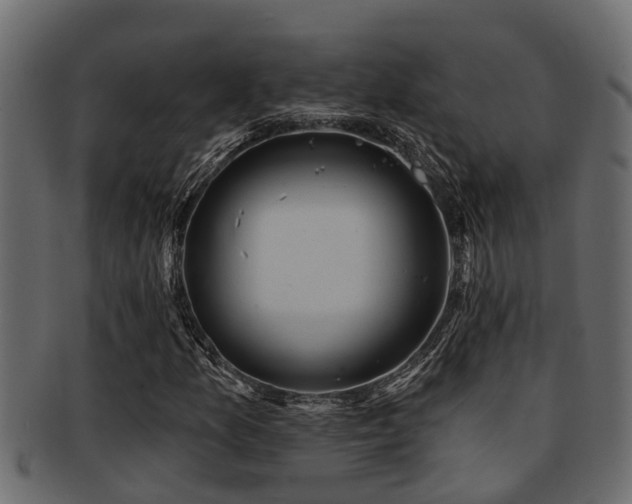 X0000093111157200709261245