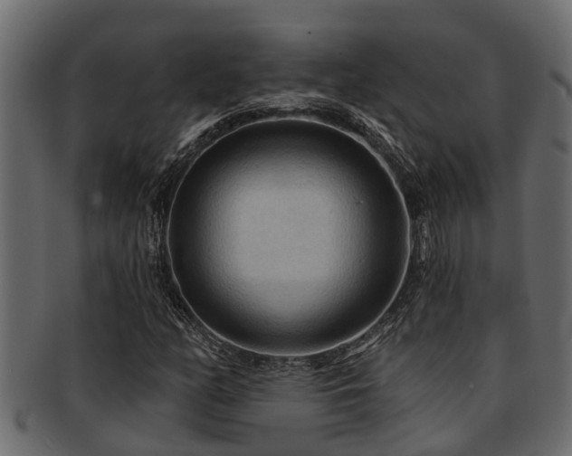 X0000093111158200709261245