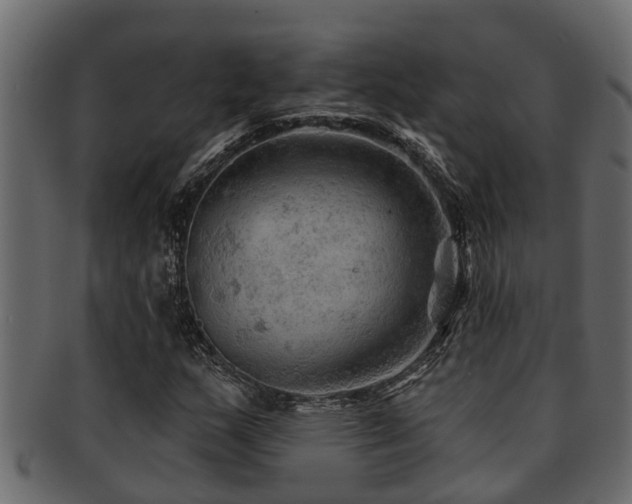 X0000093111159200709261245