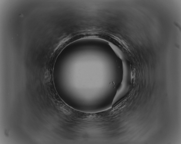 X0000093111160200709261245