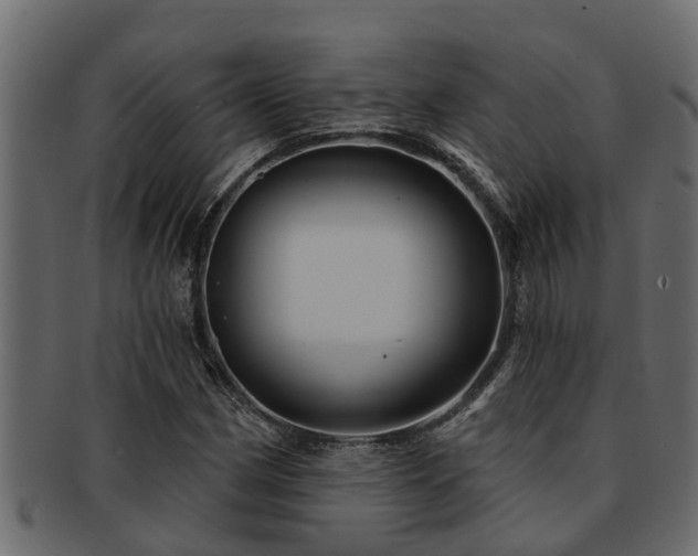 X0000093111162200709261245