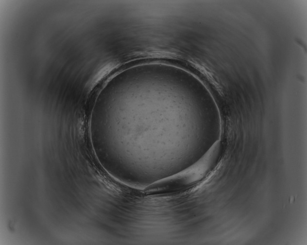 X0000093111163200709261245