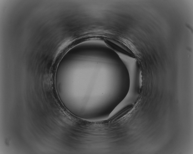 X0000093111164200709261245