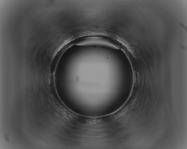 X0000093111165200709261245